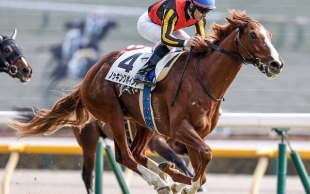 【今日の注目ポイント】ローカル3場開催の最終日 JRA重賞は新潟記念と小倉2歳S