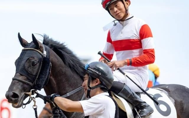 【日曜札幌7R予想】半兄はGIウイナー 良血馬が距離延長で惜敗に終止符