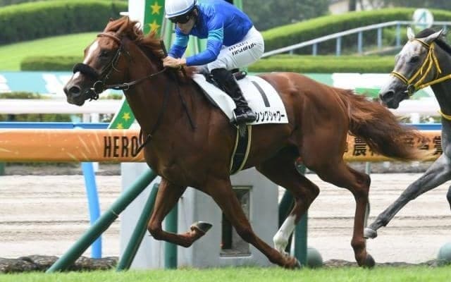 【小倉2歳S予想】前走1200m組が過去10年で9勝 距離経験が一番のカギ