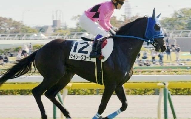 最低人気328.1倍の伏兵が逃げ切りV 今年の単勝最高配当が飛び出る波乱/新潟4R・3歳未勝利