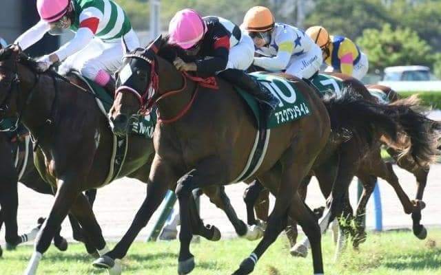 【小倉2歳S結果】アスクワンタイムが大外一気決め兄弟制覇！