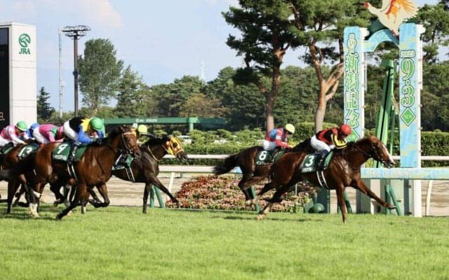 【新潟記念】良血ノッキングポイントが重賞初制覇