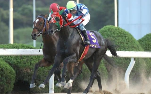 【佐賀・九州ジュニアチャンピオン結果】トゥールリーが2番手から押し切り重賞初V！