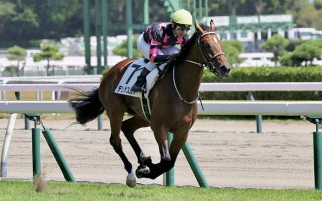 【新馬/新潟5R】アルアイン産駒、テリオスルルが鮮やかに逃げ切る…断然人気コンドライトは2着