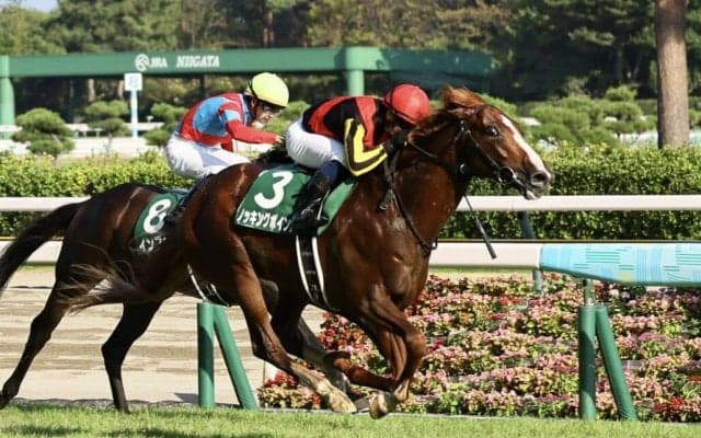 【新潟記念】北村宏「この馬らしい気配」ノッキングポイントが重賞初制覇