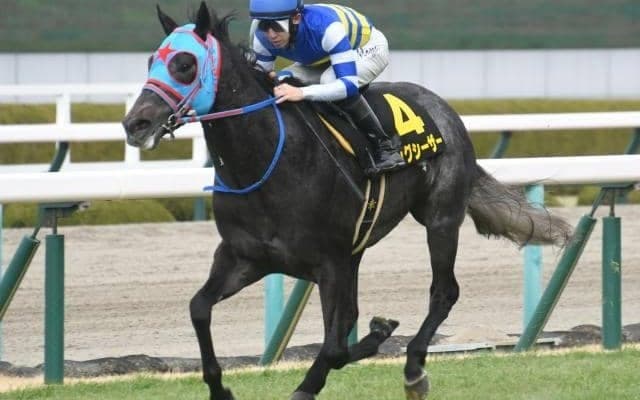 中山・阪神開催がスタート GI前哨戦の紫苑SやセントウルSなど/今週の競馬界の見どころ