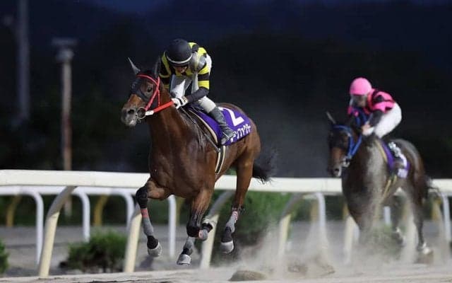 【水沢・不来方賞】ルーンファクターが7馬身差で圧勝！ミニアチュールの三冠制覇を阻止