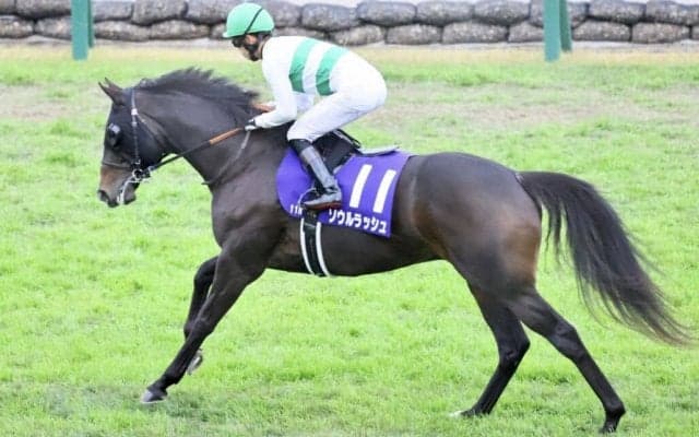 【京成杯AH登録馬】ソウルラッシュなど11頭