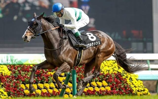 【京成杯AH見どころ】ソウルラッシュが初のGIII出走 1年5か月ぶりの重賞制覇なるか