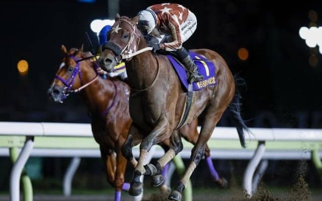1着賞金3200万円の長距離戦 重賞連勝中のセイカメテオポリスは3枠4番/大井・東京記念枠順