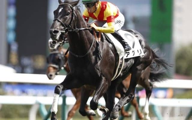 【AI予想・セントウルS】秋の訪れを告げる短距離重賞！ 前走距離と4角での位置取りが好走の鍵