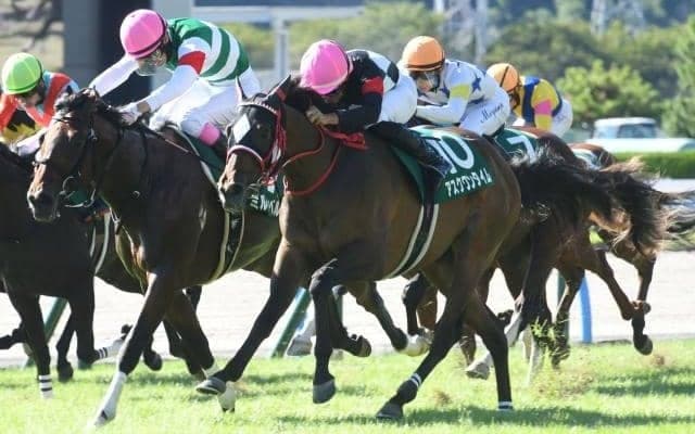 きょうだい合わせて15戦7勝 2歳戦制覇の理由は小倉に抜群の適性を示す一族