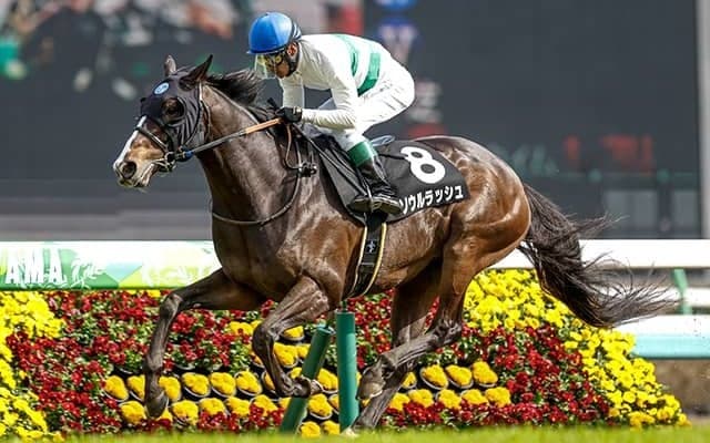 【京成杯AH想定騎手】ソウルラッシュは松山弘平騎手、インダストリアはC.ルメール騎手