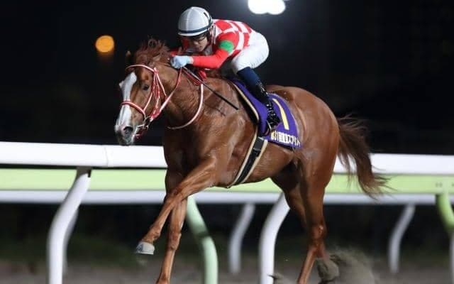 短距離重賞3勝のジャスティンが転入初戦 6枠10番から久々の勝利へ/大井・アフター5スター賞枠順