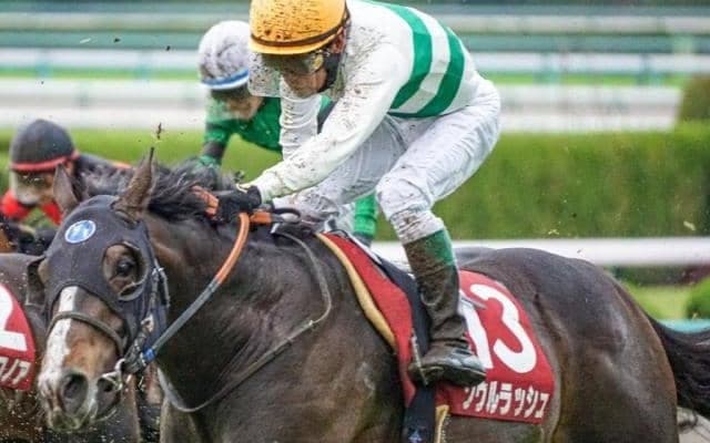 トップハンデ59kgを跳ね返す 現役屈指のマイラーが京成杯AHに参戦