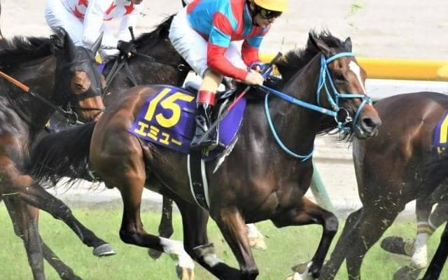 メンバー中唯一の重賞馬  紫苑Sで大舞台へ弾みつく走りなるか