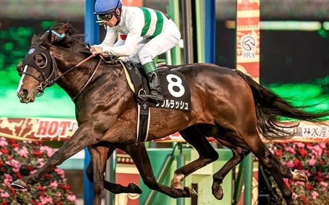 【京成杯AH予想オッズ】ソウルラッシュが予想1番人気