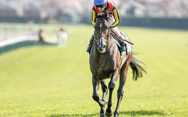 3戦3勝の絶好舞台で巻き返す 京成杯AHで重賞2勝目だ