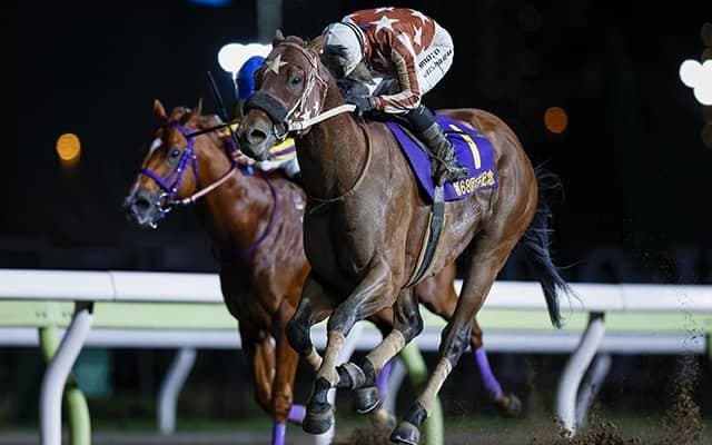 2400mで争われる伝統の一戦 セイカメテオポリスが重賞3連勝へ/大井・東京記念注目馬