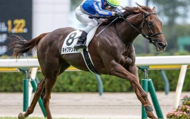 キャプテンネキはりんどう賞へ 馬名の意味は「母名の一部+姉貴より」