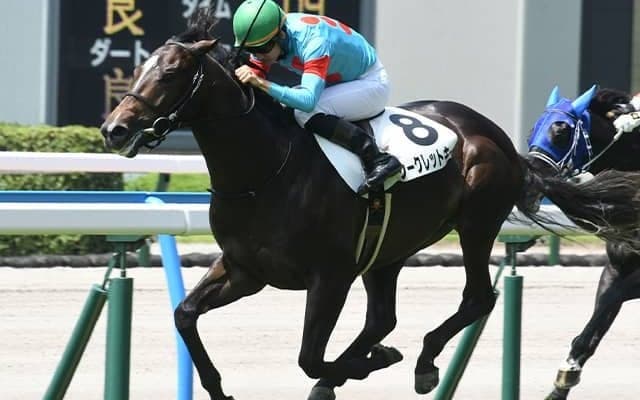 小倉で新馬Vの良血はききょうSで連勝狙う 近親にラヴズオンリーユーなど