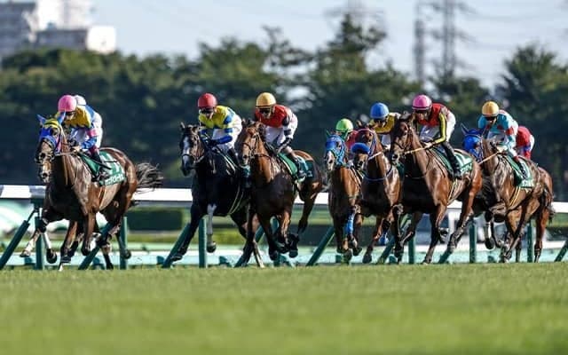 GII昇格の条件とは？ 今年から格上げの紫苑Sを例に解説