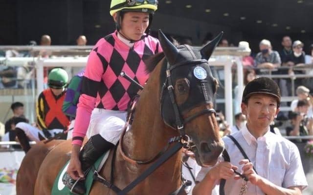 阪神芝は勝率5割 ディープ産駒の“阪神巧者” がセントウルSで重賞初Vへ