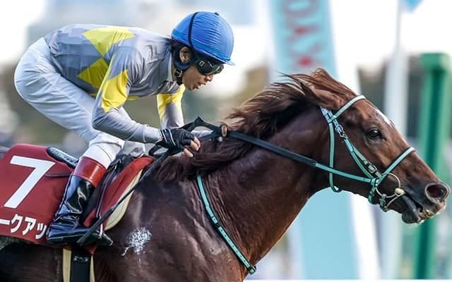 ブレークアップが豪G1・2レースに予備登録