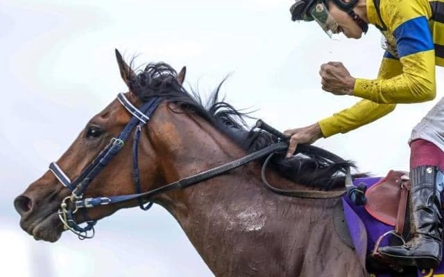 【セントライト記念想定】ソールオリエンス、ドゥラエレーデなど15頭