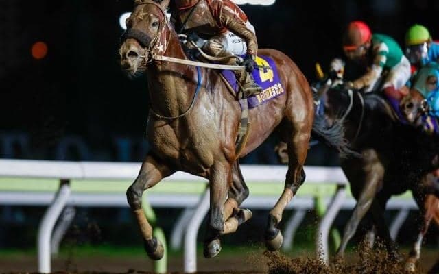 【大井・東京記念結果】セイカメテオポリスが3連勝で重賞4勝目を挙げる