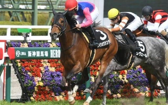 【京成杯AH予想】AIも穴狙いを推奨!? 絶好の狙い目とみた一頭とは