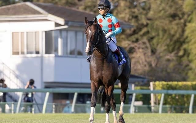 セントウルSでピクシーナイト復活なるか 2年前制した大一番へ弾みをつける