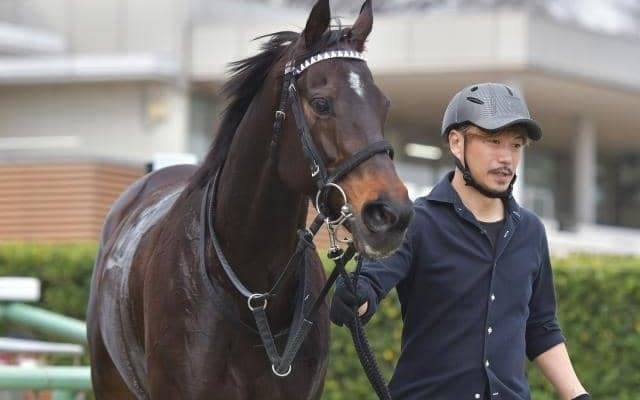 【京成杯AH展望】野芝のみを使用した馬場の開幕週で高速決着になりがち