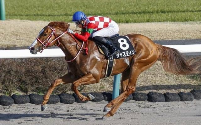 重賞3勝のジャスティンが転入初戦 実績断然で初戦から注目/大井・アフター5スター賞