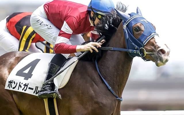 藤田晋社長の2.3億円馬 サウジアラビアRCへ向けて帰厩