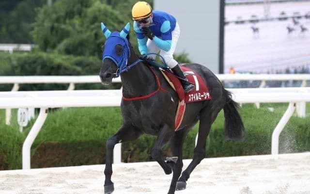 【園田・園田オータムT結果】兵庫ダービー馬スマイルミーシャが4連勝で重賞4勝目！