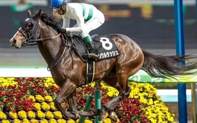 【京成杯AH出走馬・騎手確定】ソウルラッシュ＆松山弘平騎手、インダストリア＆C.ルメール騎手など11頭