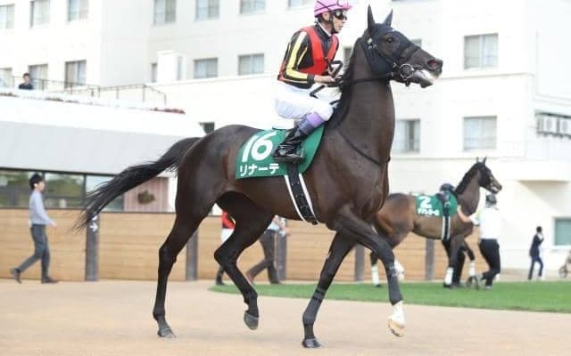 【JRA新馬戦】リナーテの初仔フォルラニーニなどがデビュー