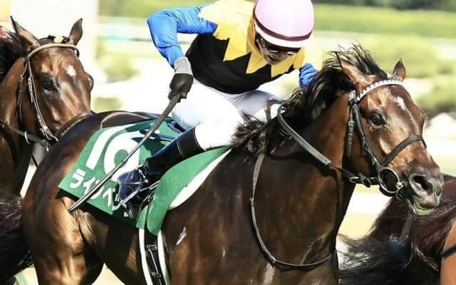 6歳ながら今まさに“充実期” マイル路線転向で再浮上した超良血が京成杯AH参戦