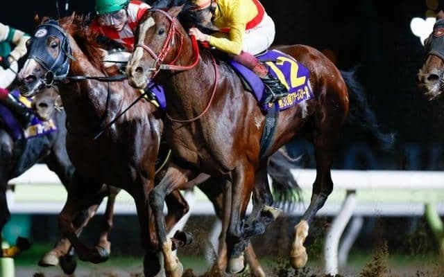 【大井・アフター5スター賞結果】ギシギシが差し切って重賞2勝目！