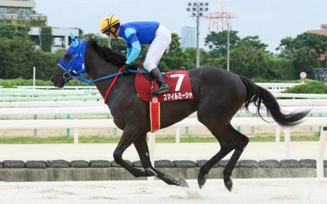 【園田オータムトロフィー】スマイルミーシャが5馬身差圧勝…吉村「暑さ堪えたかな」