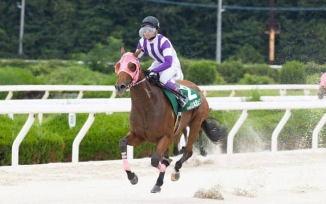 【ヤングジョッキーズTR園田】JRA暫定首位は小沢大仁騎手