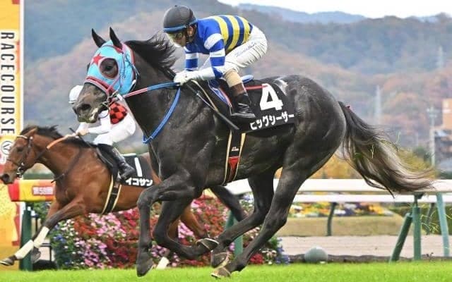 【セントウルS枠順確定】ビッグシーザーは4枠6番、アグリは5枠8番