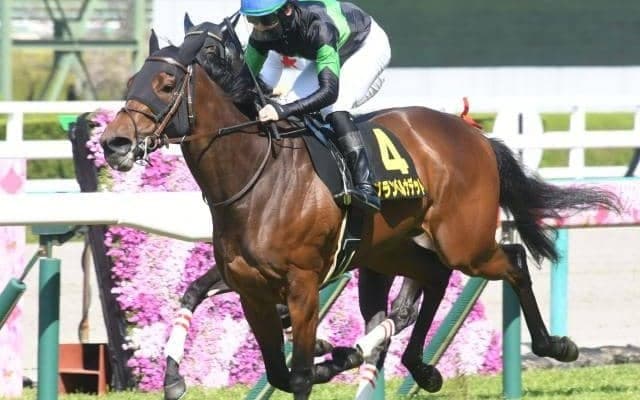 【紫苑S枠順確定】ヒップホップソウルは2枠3番、グランベルナデットは7枠14番