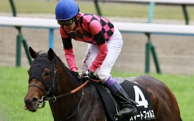 【武豊日記】ボクの流儀