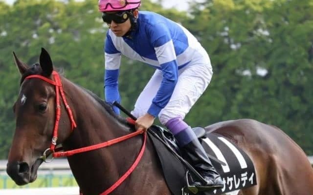 阪神芝2200はキズナ牝駒の“十八番” ムーンライトHCで高配狙える一頭とは