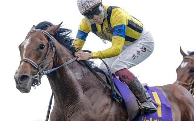 【セントライト記念想定馬・騎手】ソールオリエンス、レーベンスティールなど16頭