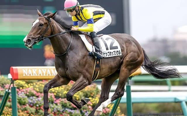 【今日の注目ポイント】中山・阪神開催がスタート 秋華賞TRの紫苑S