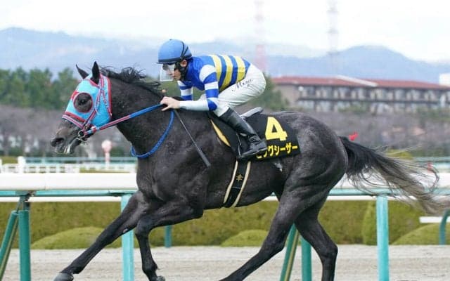 セントウルＳで注目は今年の芝1200ｍで「最高勝率」を誇る産駒と「最多勝」産駒