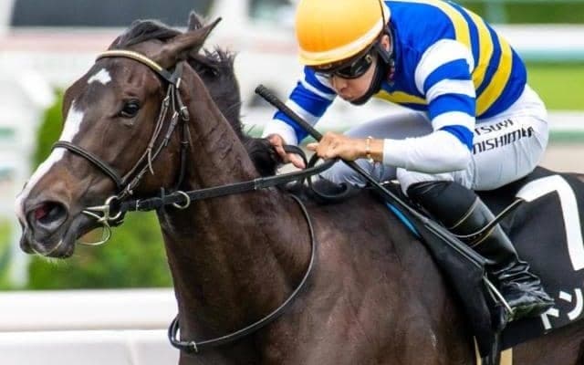 【土曜阪神8R予想】前走は負けて強し トンジンチの逃げ切りだ